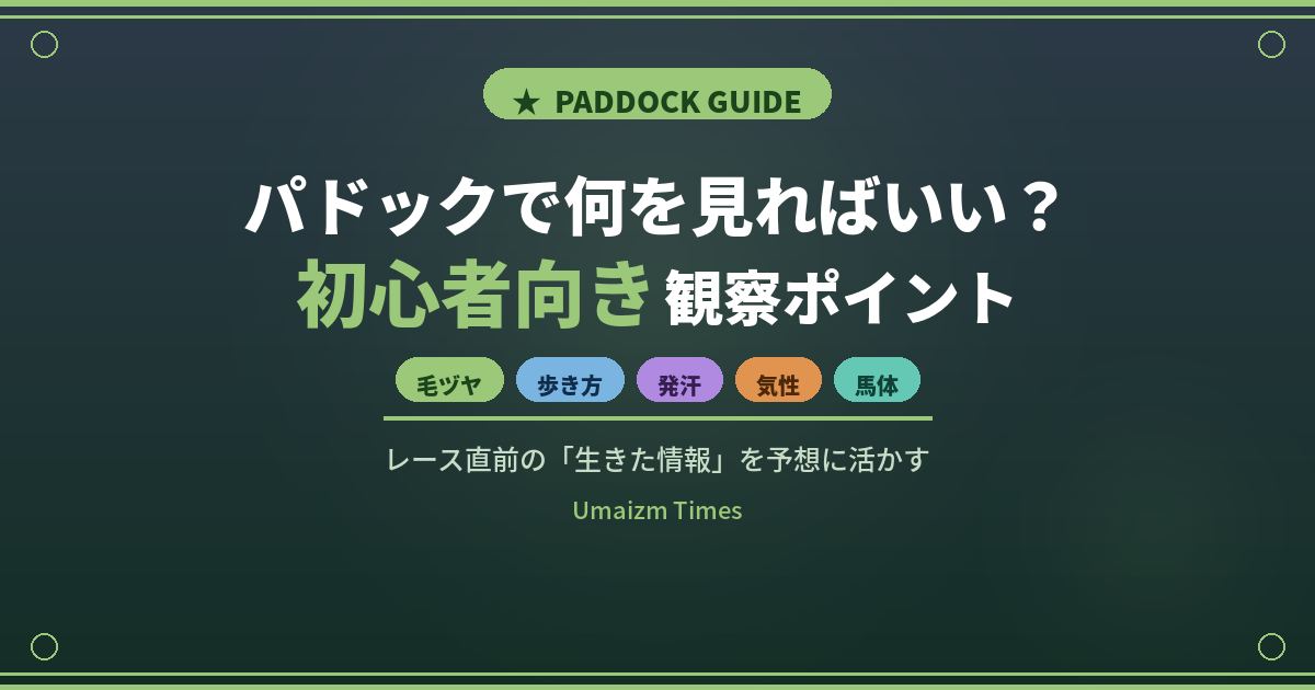パドックで何を見ればいい？初心者が押さえるべき5つの観察ポイントを完全解説