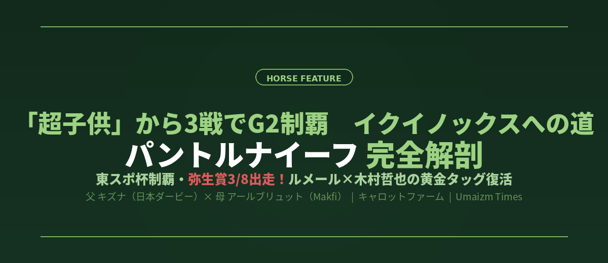 【パントルナイーフ完全解剖】「超子供」から3戦でG2制覇！弥生賞3/8出走・ルメール×木村哲也の黄金タッグが皐月賞へ向かう